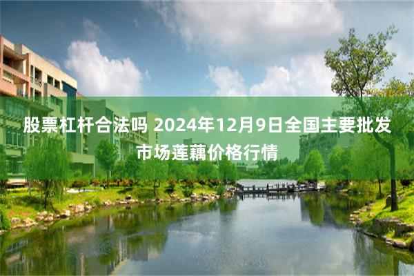 股票杠杆合法吗 2024年12月9日全国主要批发市场莲藕价格行情