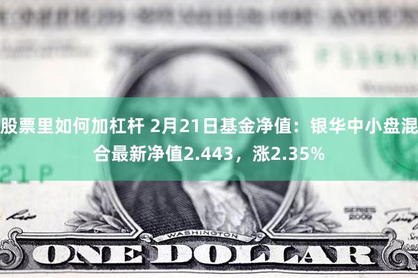股票里如何加杠杆 2月21日基金净值：银华中小盘混合最新净值2.443，涨2.35%