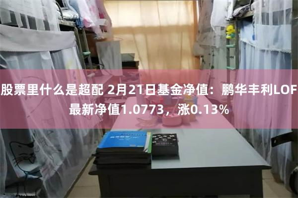 股票里什么是超配 2月21日基金净值：鹏华丰利LOF最新净值1.0773，涨0.13%
