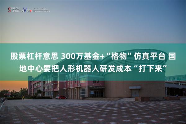 股票杠杆意思 300万基金+“格物”仿真平台 国地中心要把人形机器人研发成本“打下来”