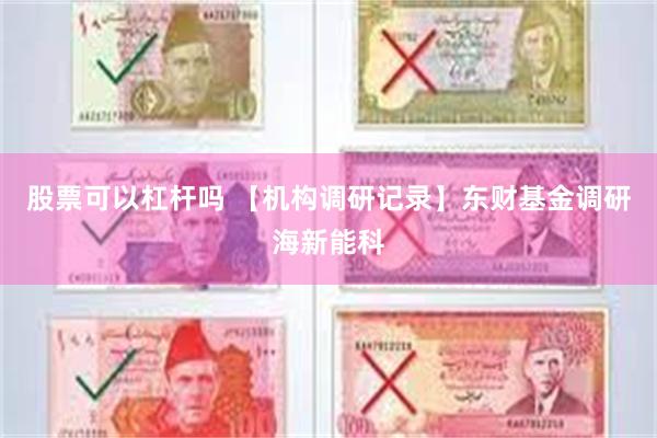 股票可以杠杆吗 【机构调研记录】东财基金调研海新能科