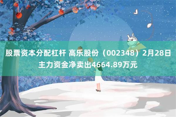 股票资本分配杠杆 高乐股份（002348）2月28日主力资金净卖出4664.89万元