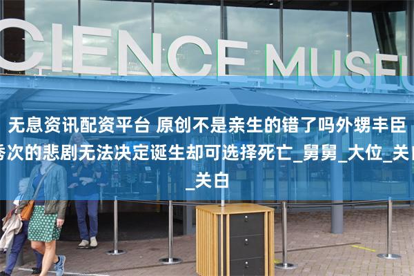无息资讯配资平台 原创不是亲生的错了吗外甥丰臣秀次的悲剧无法决定诞生却可选择死亡_舅舅_大位_关白