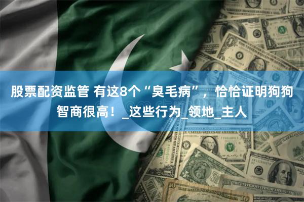 股票配资监管 有这8个“臭毛病”，恰恰证明狗狗智商很高！_这些行为_领地_主人