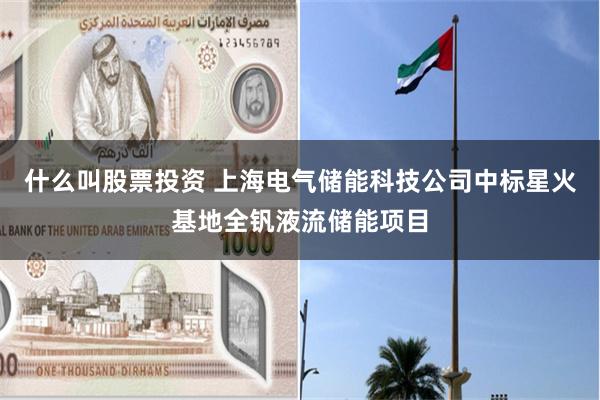 什么叫股票投资 上海电气储能科技公司中标星火基地全钒液流储能项目