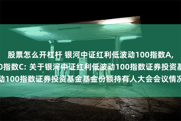 股票怎么开杠杆 银河中证红利低波动100指数A,银河中证红利低波动100指数C: 关于银河中证红利低波动100指数证券投资基金基金份额持有人大会会议情况的公告