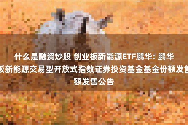 什么是融资炒股 创业板新能源ETF鹏华: 鹏华创业板新能源交易型开放式指数证券投资基金基金份额发售公告