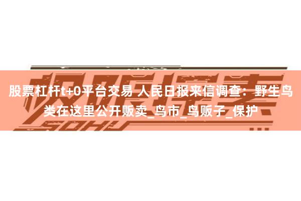 股票杠杆t+0平台交易 人民日报来信调查：野生鸟类在这里公开贩卖_鸟市_鸟贩子_保护