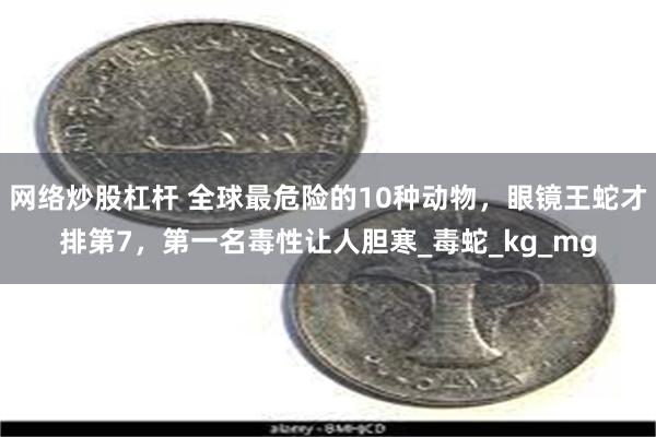 网络炒股杠杆 全球最危险的10种动物，眼镜王蛇才排第7，第一名毒性让人胆寒_毒蛇_kg_mg