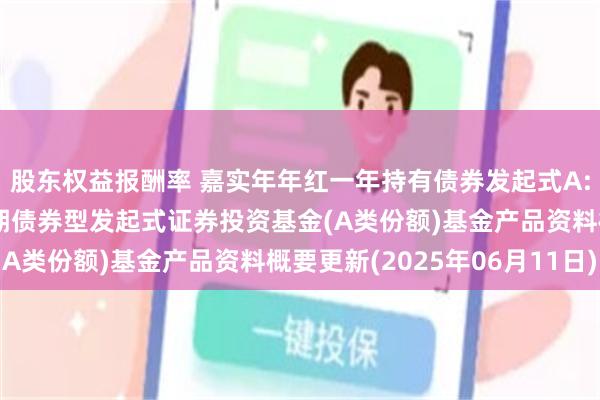 股东权益报酬率 嘉实年年红一年持有债券发起式A: 嘉实年年红一年持有期债券型发起式证券投资基金(A类份额)基金产品资料概要更新(2025年06月11日)