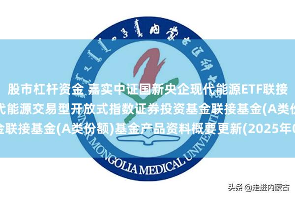 股市杠杆资金 嘉实中证国新央企现代能源ETF联接A: 嘉实中证国新央企现代能源交易型开放式指数证券投资基金联接基金(A类份额)基金产品资料概要更新(2025年06月11日)