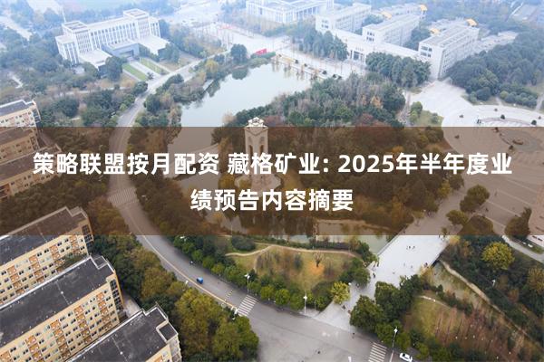 策略联盟按月配资 藏格矿业: 2025年半年度业绩预告内容摘要