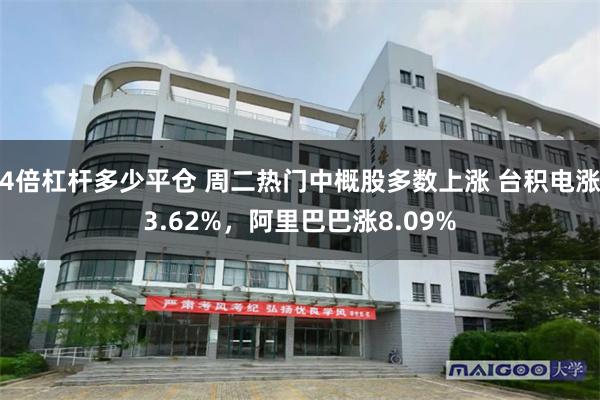 4倍杠杆多少平仓 周二热门中概股多数上涨 台积电涨3.62%，阿里巴巴涨8.09%
