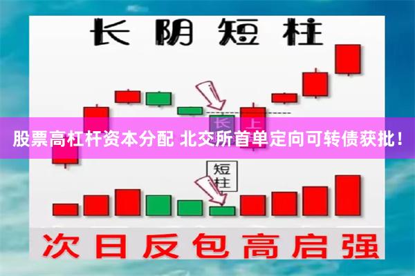 股票高杠杆资本分配 北交所首单定向可转债获批！