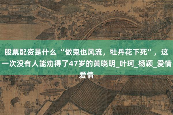 股票配资是什么 “做鬼也风流，牡丹花下死”，这一次没有人能劝得了47岁的黄晓明_叶珂_杨颖_爱情