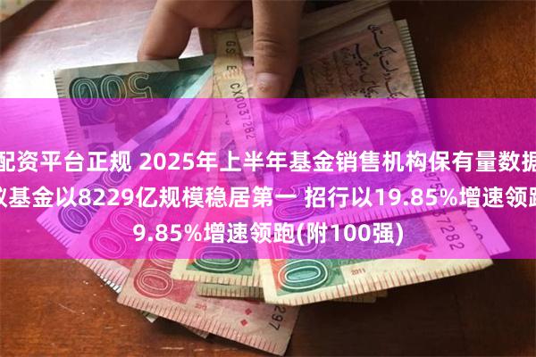 配资平台正规 2025年上半年基金销售机构保有量数据TOP5:蚂蚁基金以8229亿规模稳居第一 招行以19.85%增速领跑(附100强)