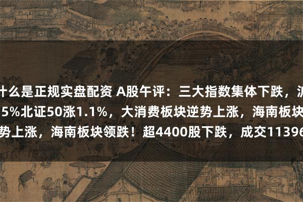 什么是正规实盘配资 A股午评：三大指数集体下跌，沪指跌1.22%创指跌2.35%北证50涨1.1%，大消费板块逆势上涨，海南板块领跌！超4400股下跌，成交11396亿缩量589亿